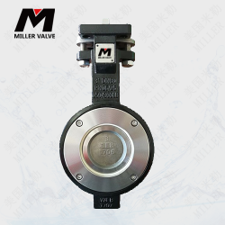 進(jìn)口高性能蝶閥