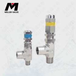 進(jìn)口泄壓閥