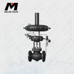 進(jìn)口泄氮閥