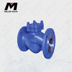 進(jìn)口蒸汽止回閥