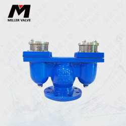 進(jìn)口雙口排氣閥