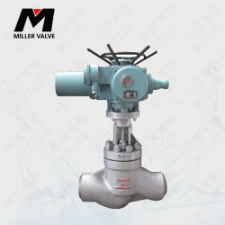 進(jìn)口鍋爐給水調(diào)節(jié)閥