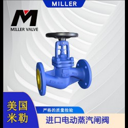進(jìn)口電動(dòng)蒸汽閘閥