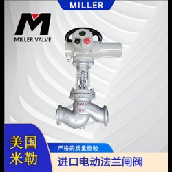 進(jìn)口電動(dòng)法蘭閘閥