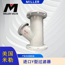 進口Y型過濾器
