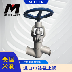 進口電站截止閥