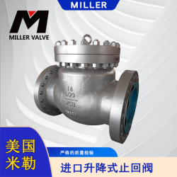 進(jìn)口升降式止回閥