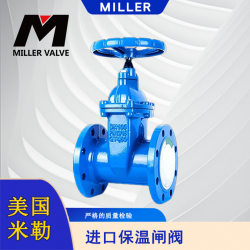 進(jìn)口保溫閘閥