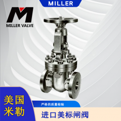 進(jìn)口美標(biāo)閘閥