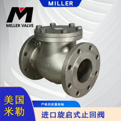 進(jìn)口旋啟式止回閥