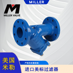 進口美標過濾器