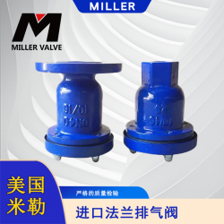 進(jìn)口法蘭排氣閥