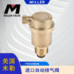 進(jìn)口自動排氣閥