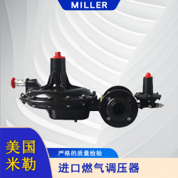 進(jìn)口燃?xì)庹{(diào)壓器