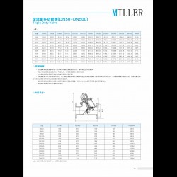 進(jìn)口定流量多功能閥
