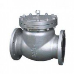 進(jìn)口哈氏合金止回閥