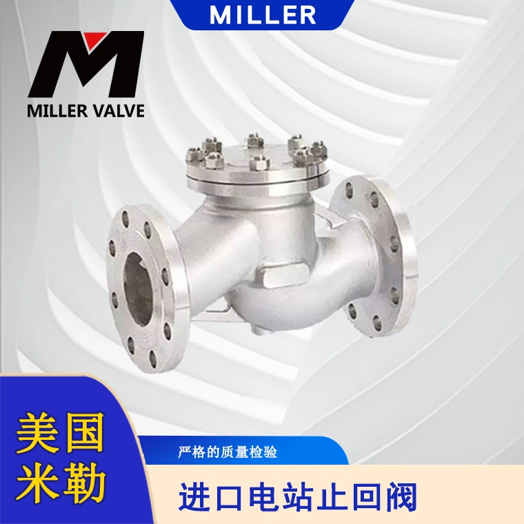 進(jìn)口球形止回閥