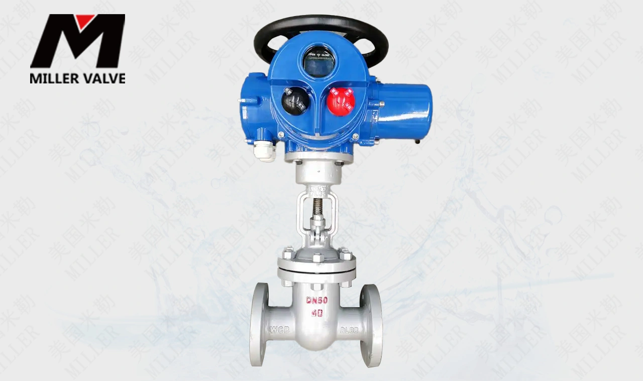 進(jìn)口蒸汽電動(dòng)閘閥