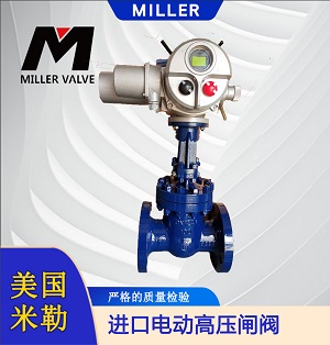 進(jìn)口電動(dòng)高壓閘閥