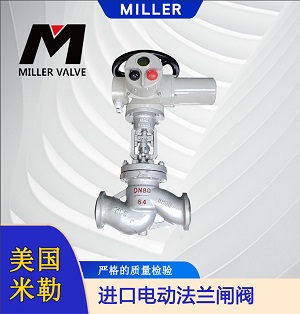 進(jìn)口電動(dòng)法蘭閘閥