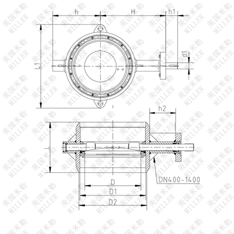 進(jìn)口雙偏心蝶閥